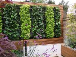 5 reasons why you should cover your house in trellis
