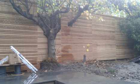Natural Iroko Slatted Panels Fitted Around Tree