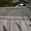 Trellis Panels installed above a Heavy Duty Solid Fence