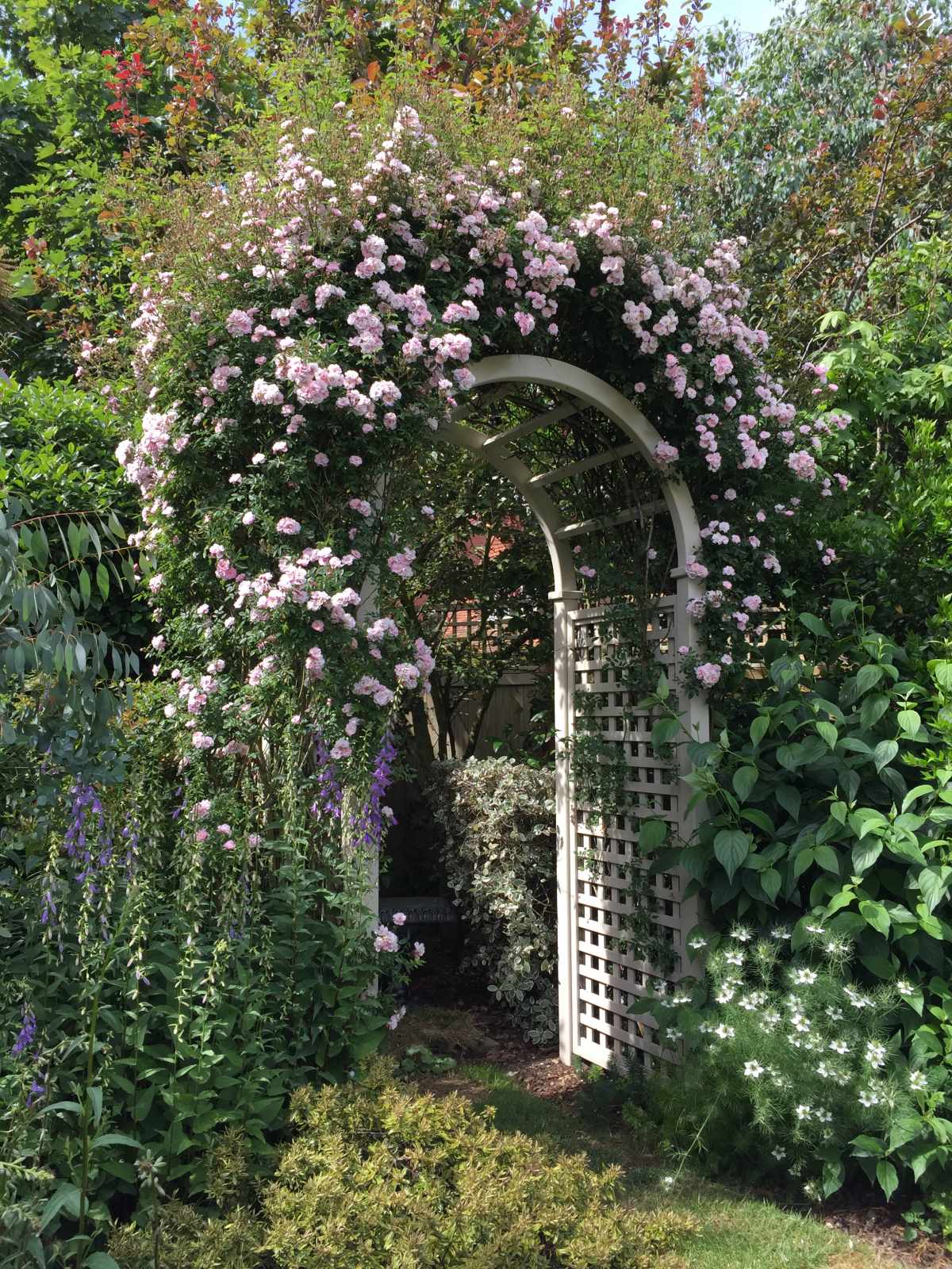 Contemporary Rose Arches & Arbours | Essex UK | The Garden Trellis Company