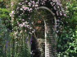 Transform Your Garden with Rose Arches: A Comprehensive Guide