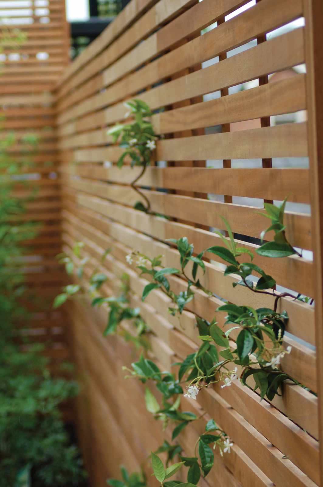 Slatted Fence Panels Cedar Fence Panel Garden Trellis Co