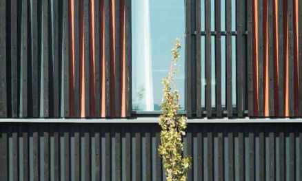 Decking & vertical cladding panels in FSC Cumaru hardwood - Cambridge