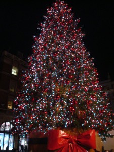 Large Christmas tree adorned with red and white lights, topped with a red bow, set against a dark night sky.