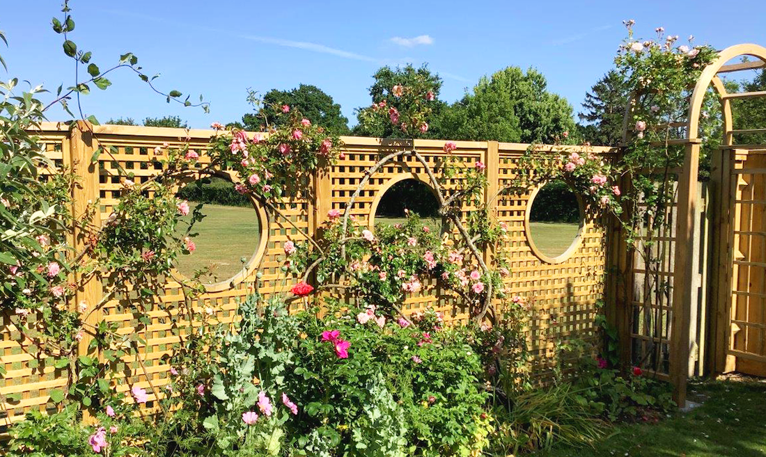 Wooden lattice fence with circular mirrors, adorned with blooming roses, set in a sunny garden.