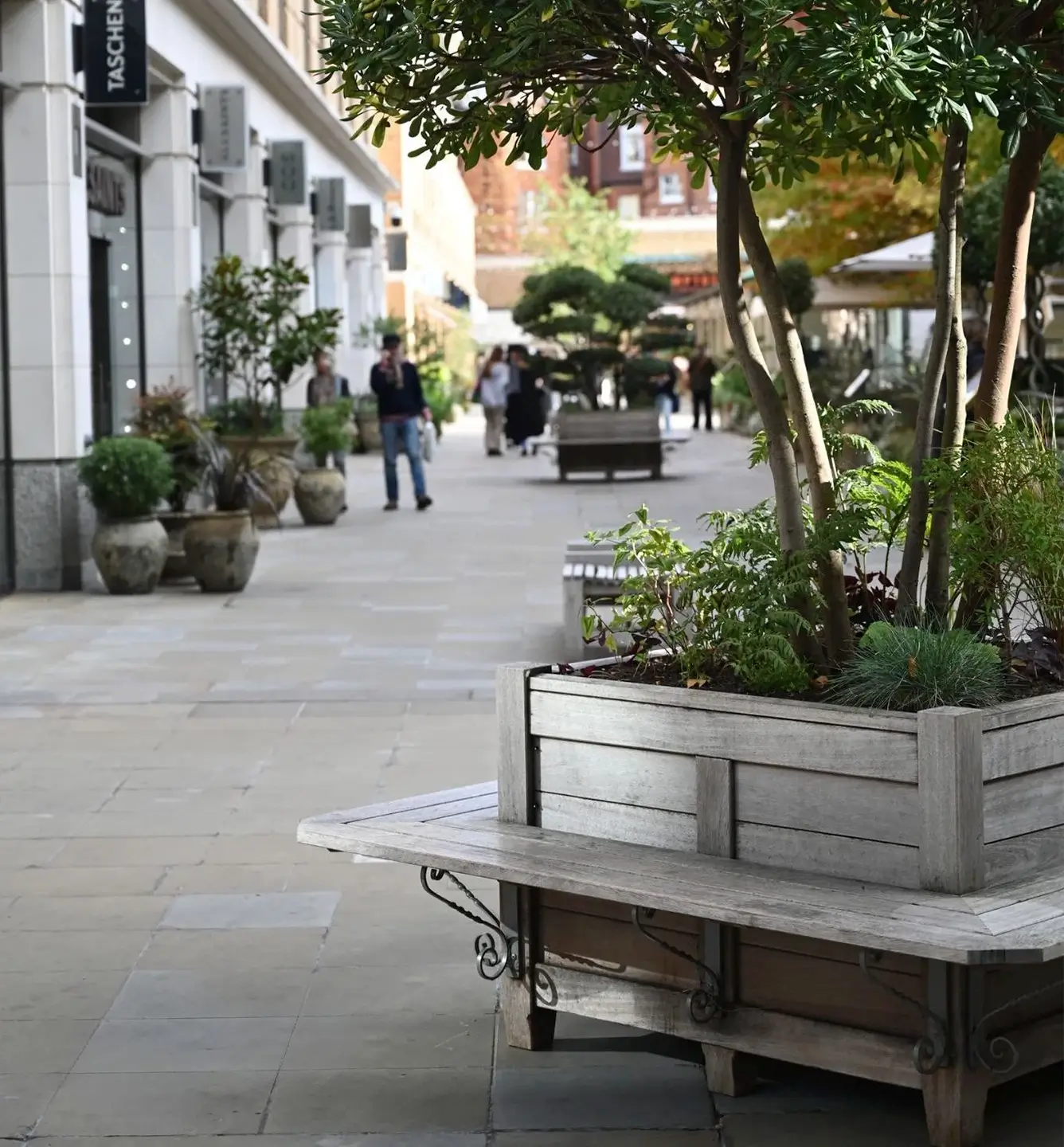 Paved walkway with benches and planters along a row of shops and trees, people walking in the background.