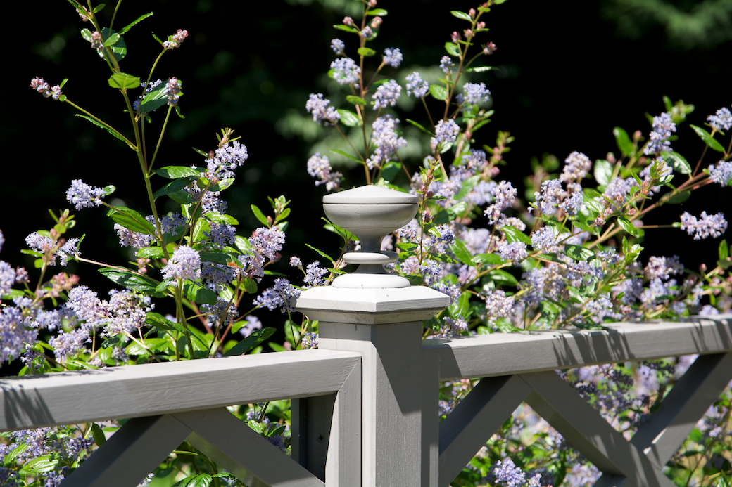 Lilac flowers bloom behind a decorative wooden fence post under sunlight.