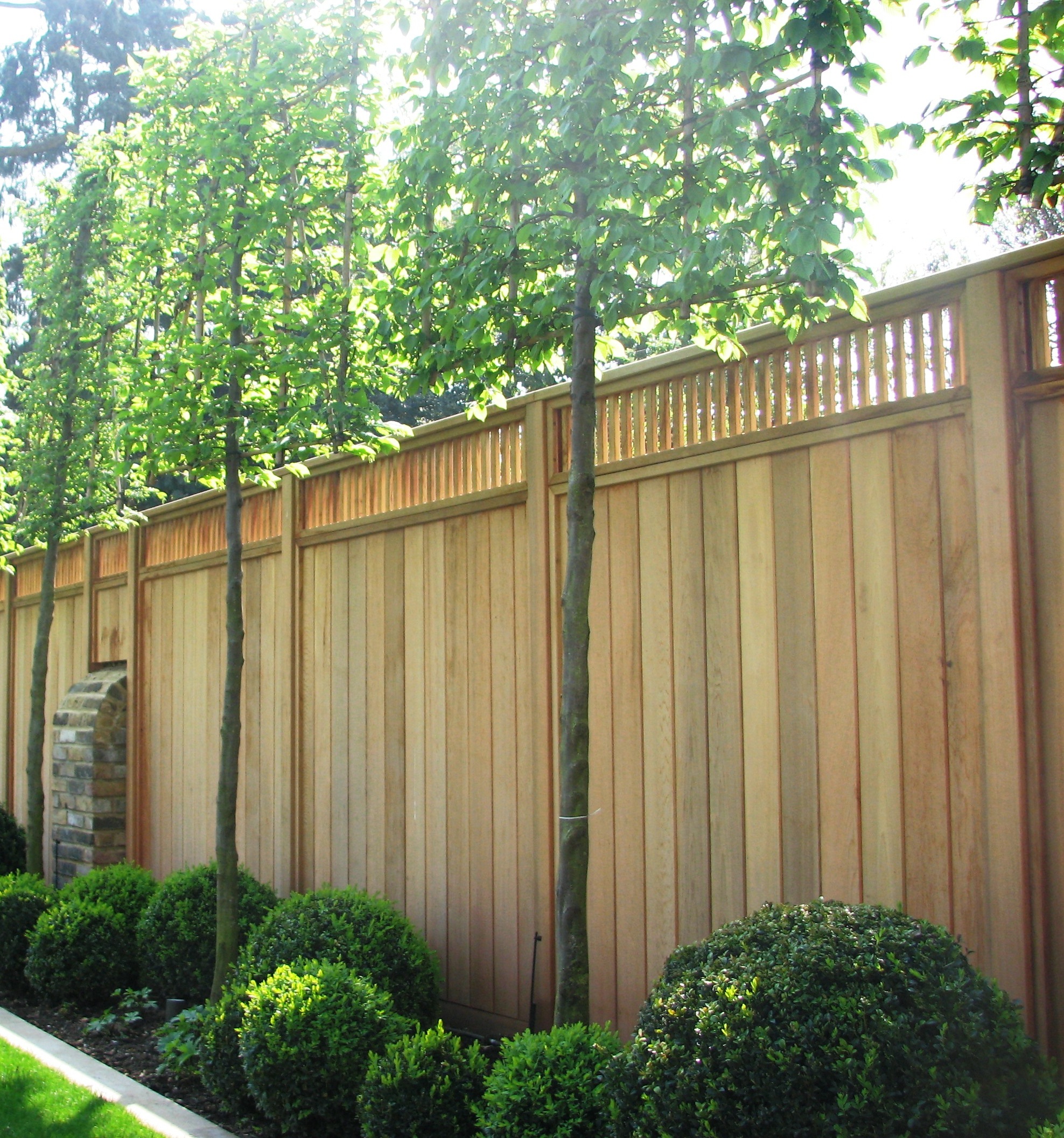 Wooden fence with a lattice top, framed by young trees and neatly trimmed bushes.