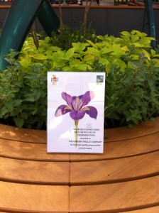 Sign with an illustration of a purple flower placed among green plants on a wooden bench.