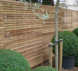 Wooden privacy fence with slatted design behind neatly trimmed bushes and small tree.