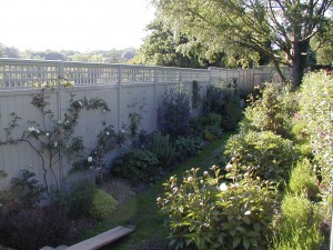 Garden with various plants and shrubs beside a tall, white fence under a sunny sky.