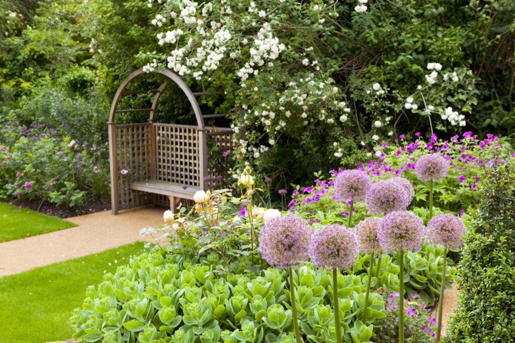 Garden with a wooden bench, surrounded by purple flowers, green plants, and white blossoms.