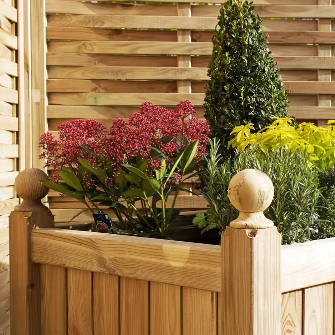 Traditional garden inspiration
