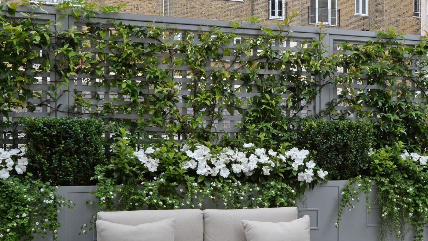 Bespoke trellis and filled planters on a rooftop garden