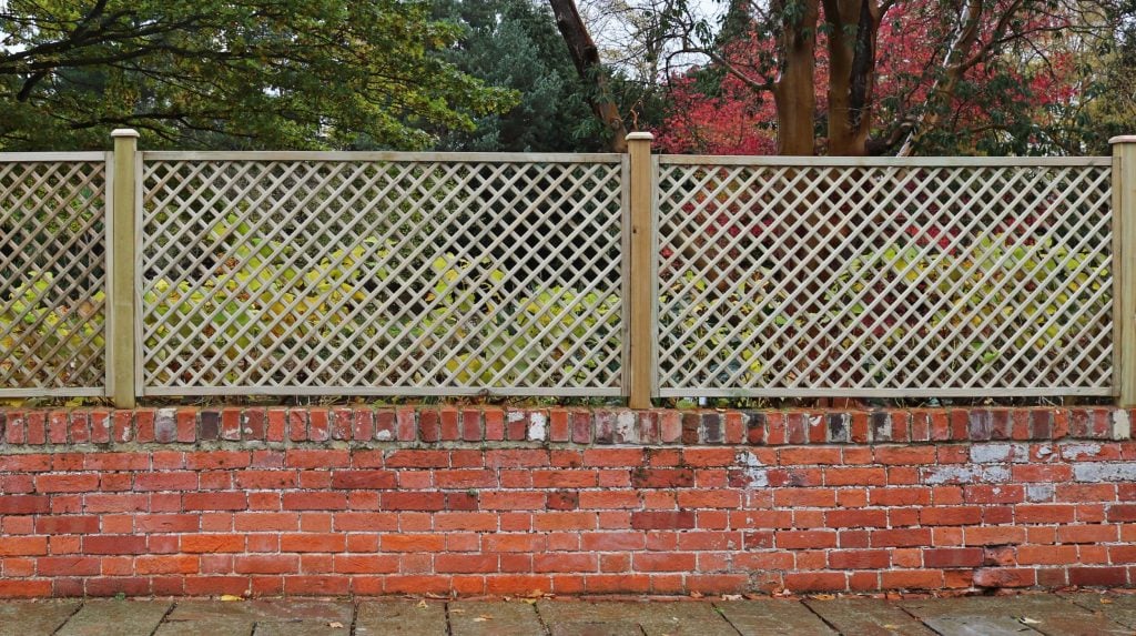 Diagonal trellis on a brick wall