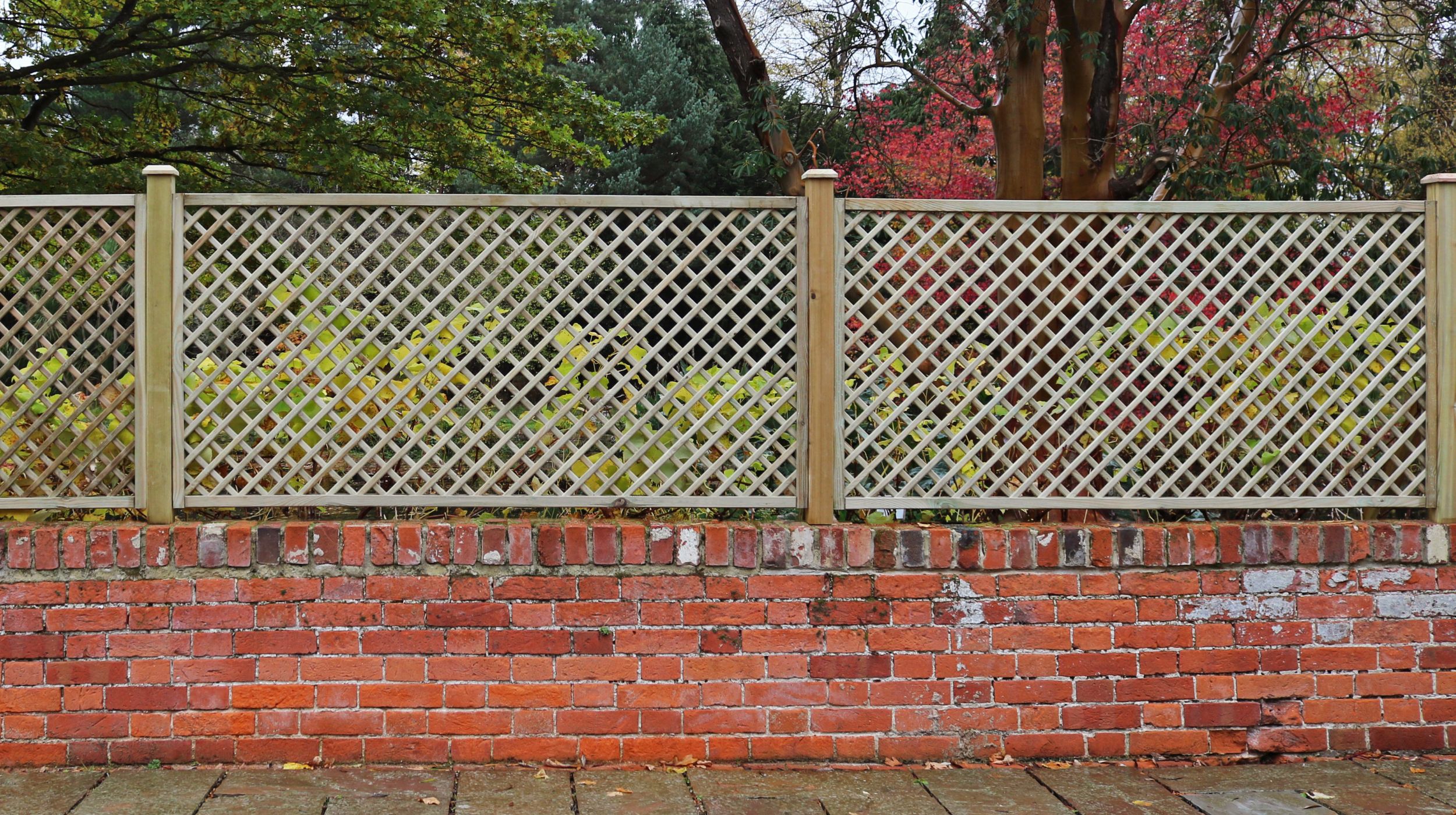 Diagonal trellis on a brick wall