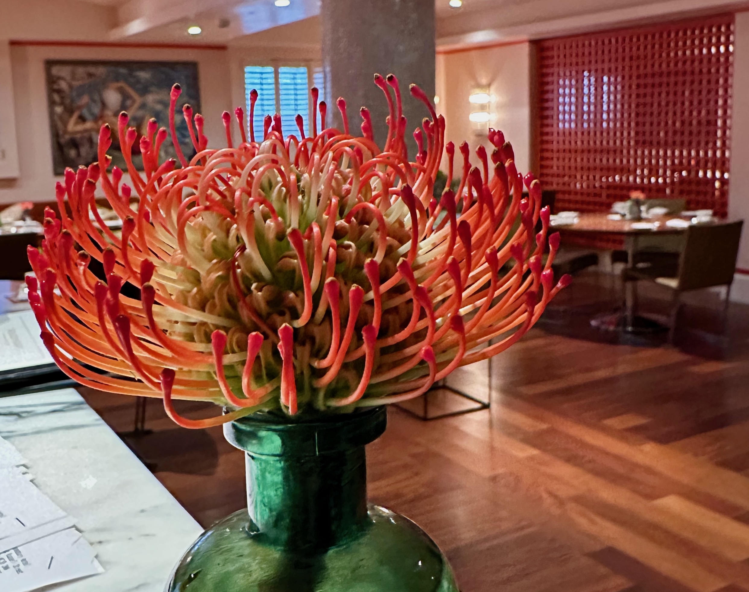 Orange flower in The Trellis Room