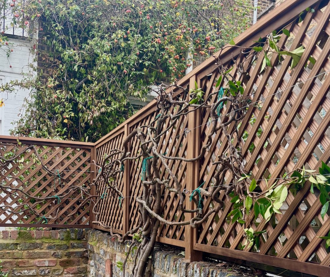 Bespoke diagonal trellis, 48mm gap, in Thermally Treated Timber
