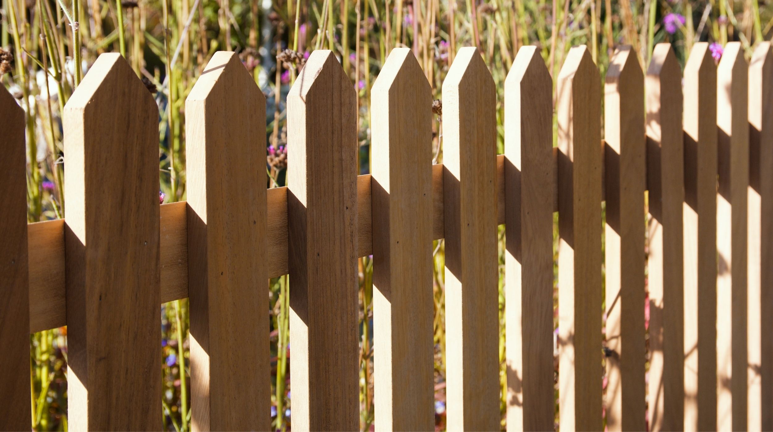 RHS Pointed Top Picket Fencing