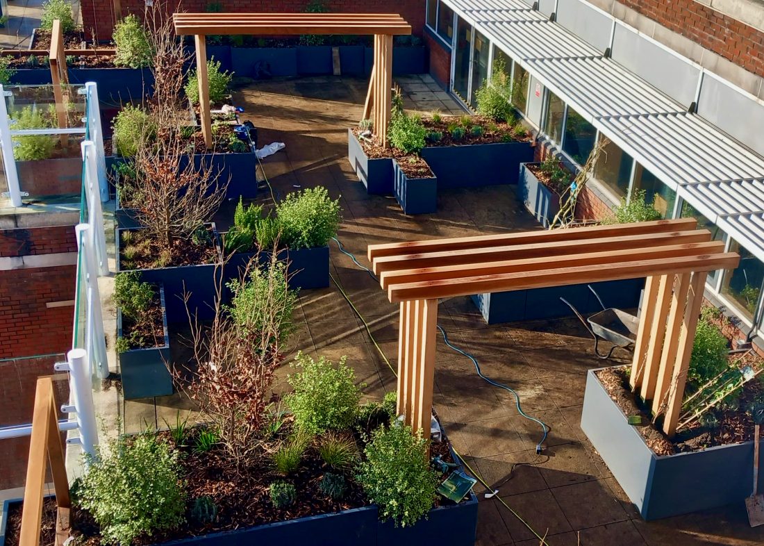 Bespoke modern pergolas and arches in Iroko
