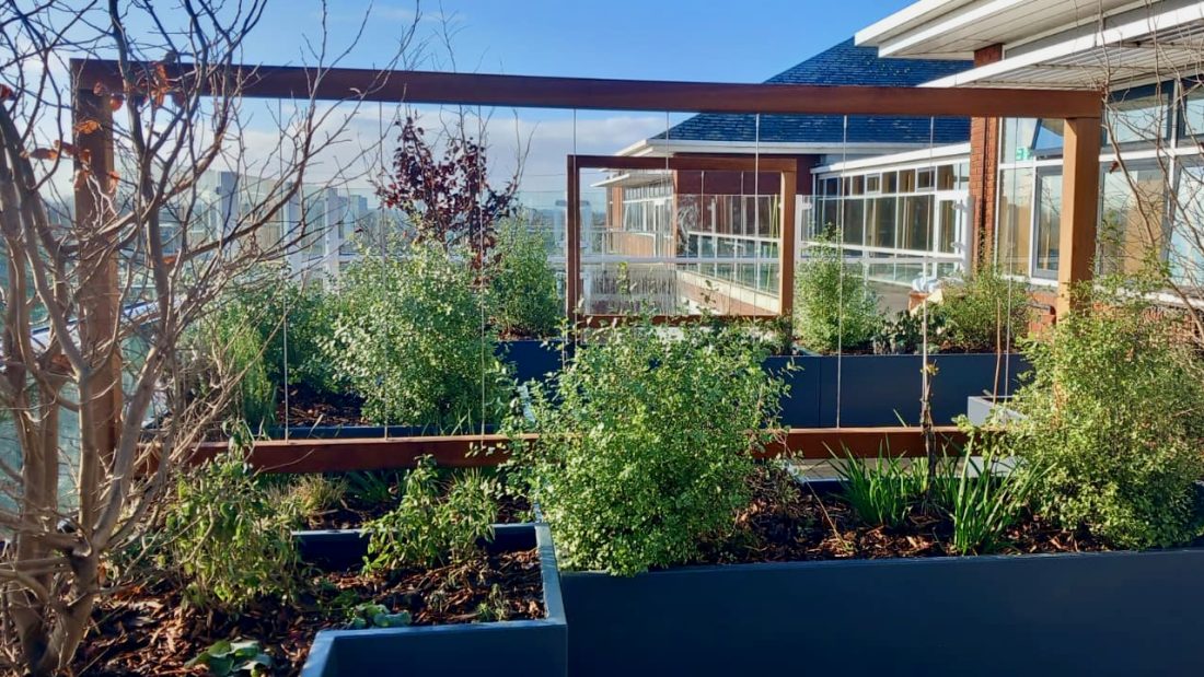 Bespoke modern pergolas and arches in Iroko