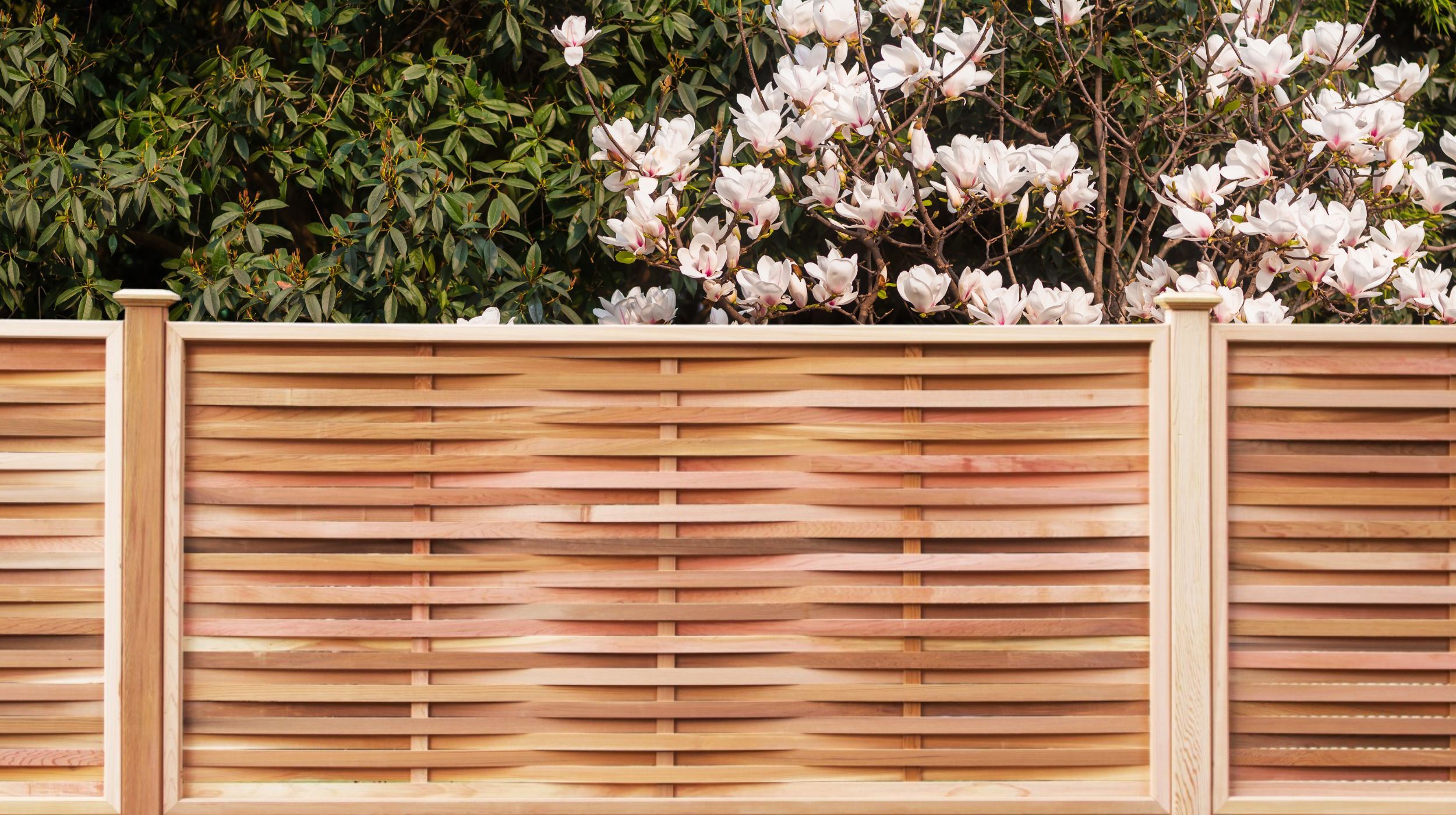 RHS Prestige Weave Fencing in Spring