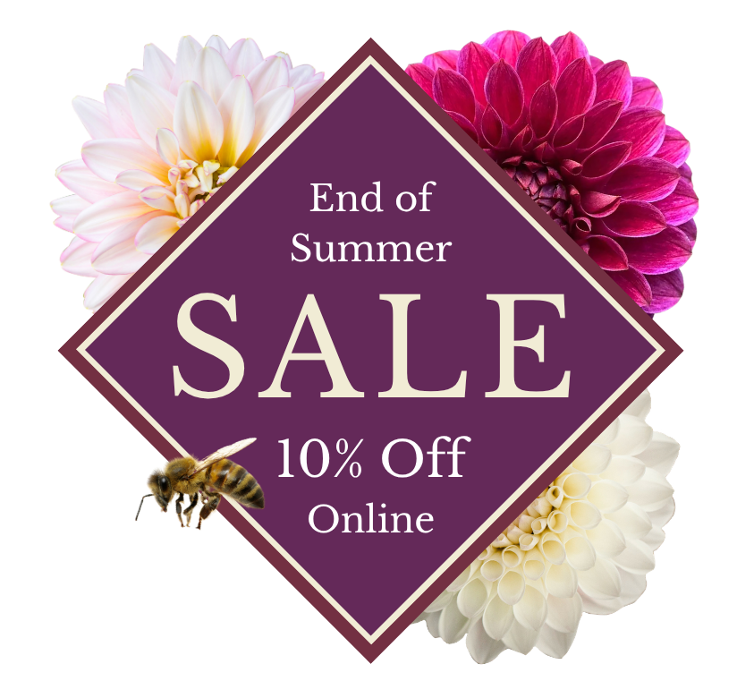 A graphic featuring a purple diamond shape, cut-out dahlia flowers and the words, End of Summer Sale 10% Off Online.