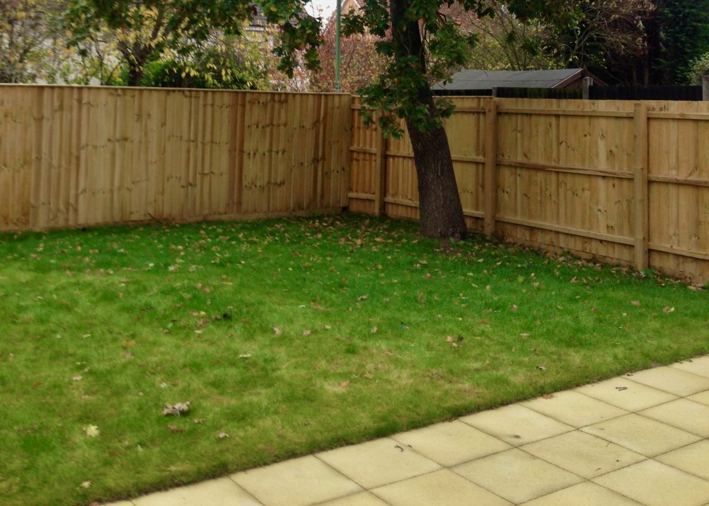 Example of a 'blank canvas' new build garden