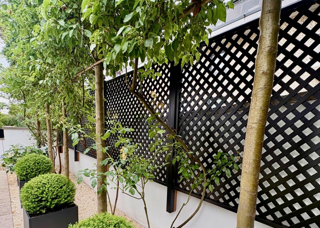 RHS Prestige Diagonal Trellis (38mm gap) painted in Black in a garden in Hamburg