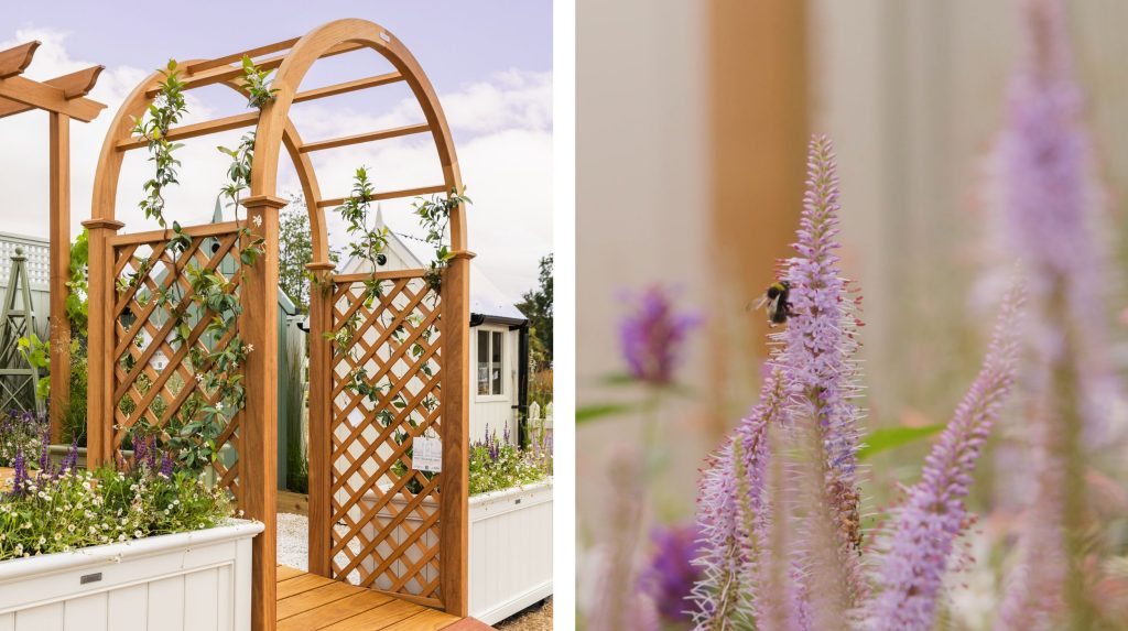 Two photos side by side showing a rose arch with jasmine and a close up of a bee on Veronicastrum v. 'Fascination' flowers.