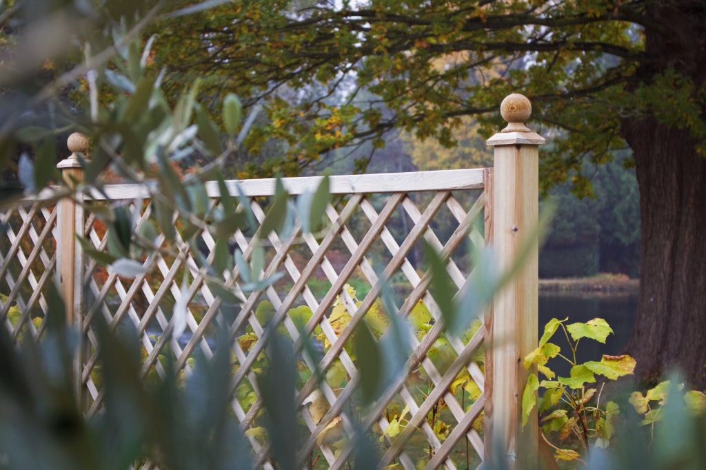 Open Diagonal Trellis in an autumnal garden